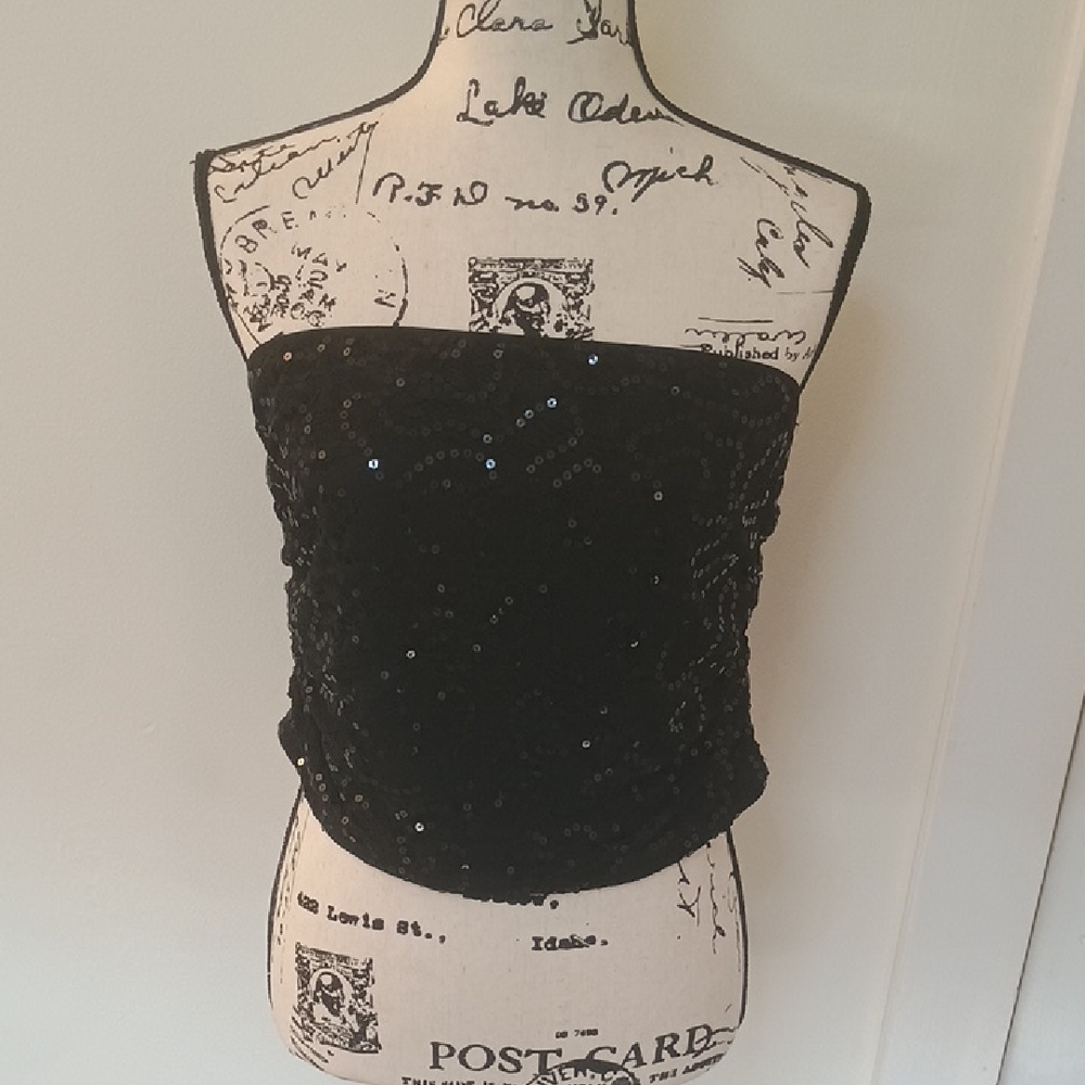 Wild Fable Black Sequin Bustier Crop Top